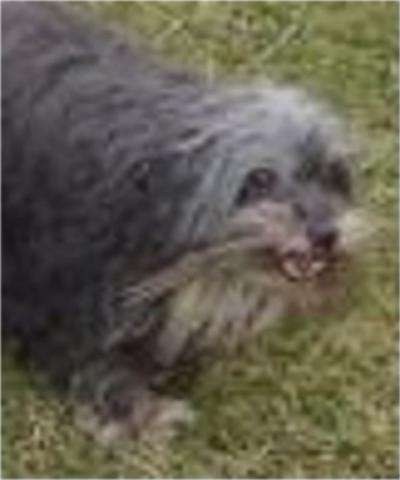 Nuit caline Des fayettes de la vaissaire