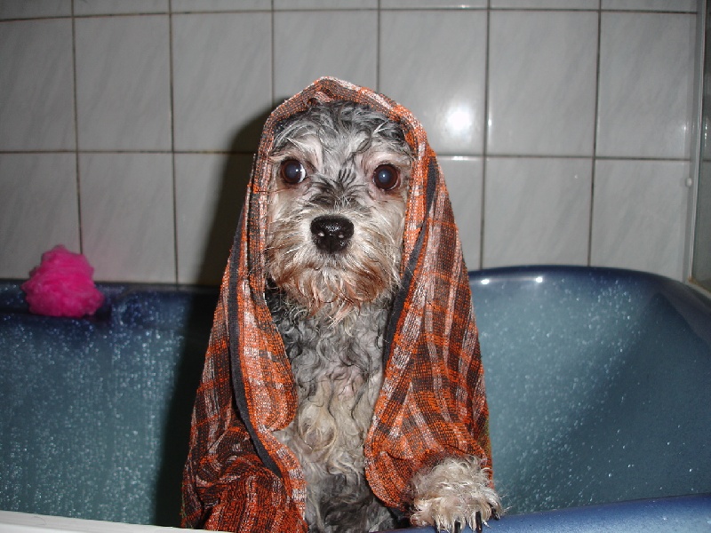 O'nell Des fayettes de la vaissaire